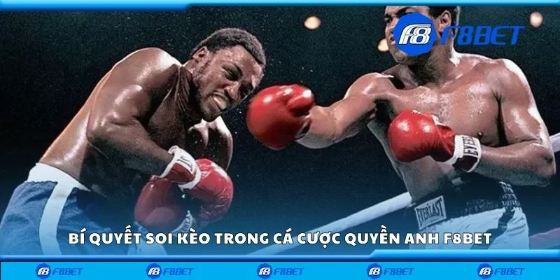 Bí quyết soi kèo trong cá cược quyền anh F8bet