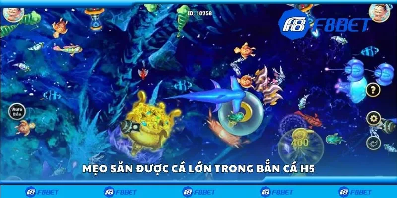 Mẹo săn được cá lớn trong bắn cá h5