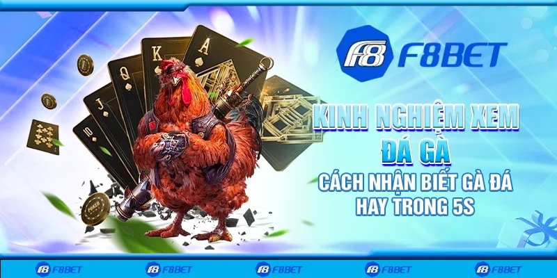 Kinh nghiệm xem đá gà - Cách nhận biết gà đá hay trong 5s