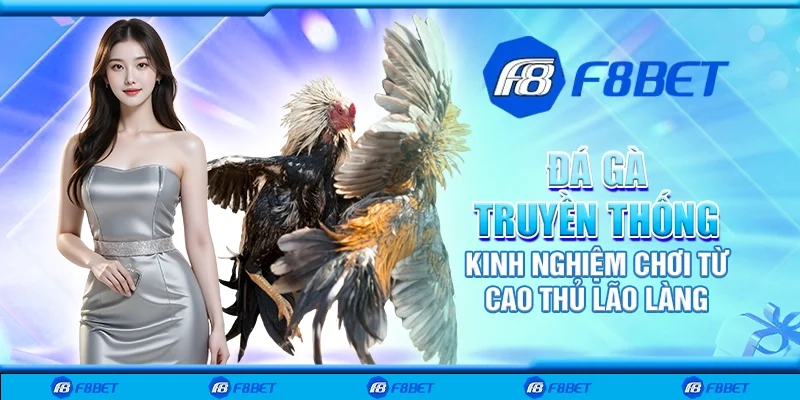 Đá gà truyền thống - Kinh nghiệm chơi từ cao thủ lão làng