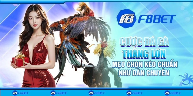 Bí quyết cược đá gà thắng lớn - Mẹo chọn kèo chuẩn như dân chuyên