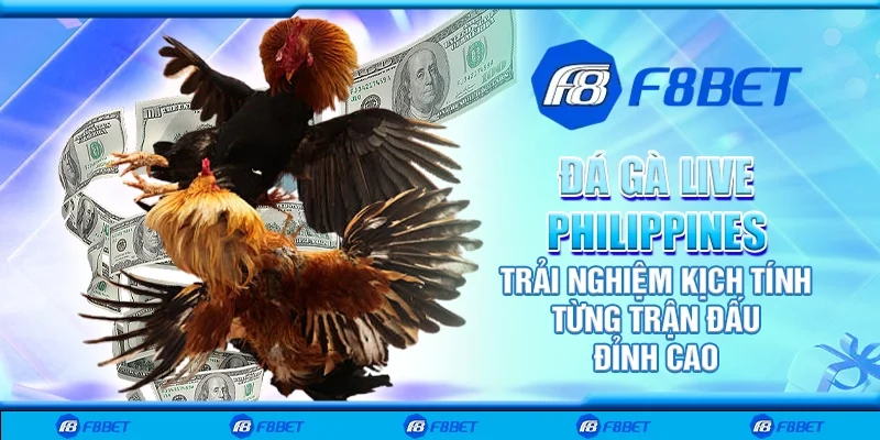 Đá gà live Philippines – Trải nghiệm kịch tính từng trận đấu đỉnh cao