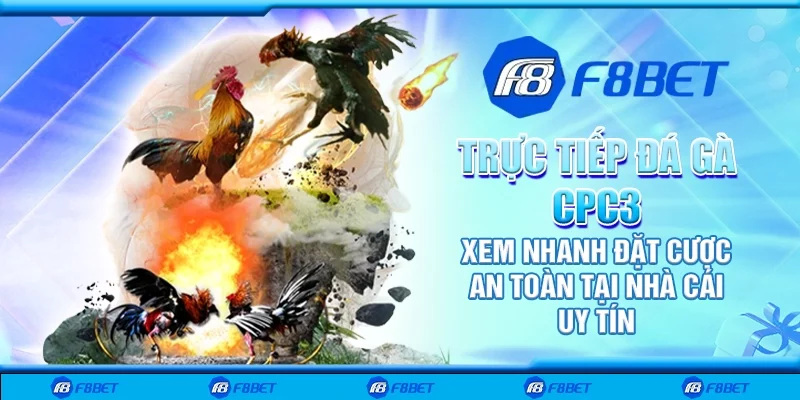 Trực tiếp đá gà CPC3 – Xem nhanh đặt cược an toàn tại nhà cái uy tín