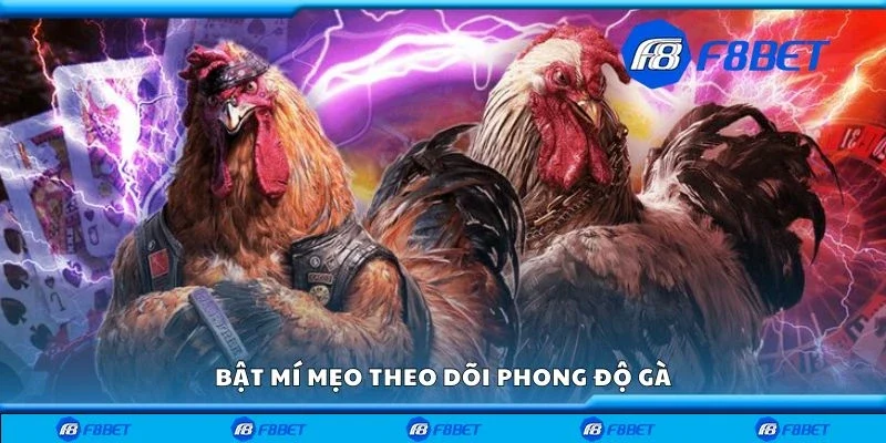 Bật mí mẹo theo dõi phong độ gà