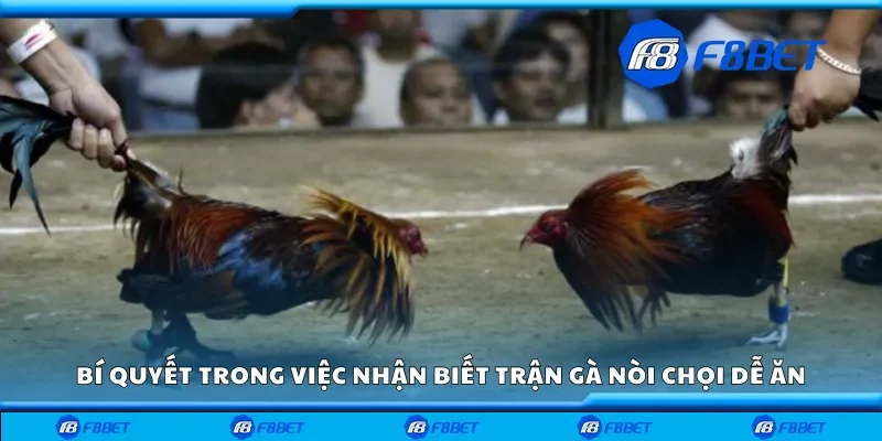 Bí quyết trong việc nhận biết trận gà nòi chọi dễ ăn