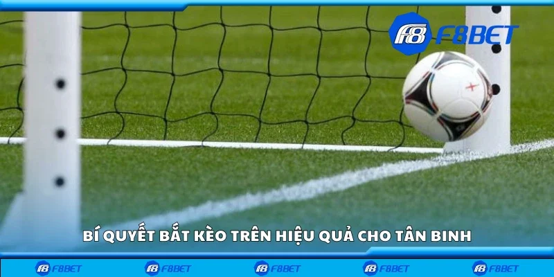 Các bí kíp bắt kèo trên hiệu quả cho tân binh