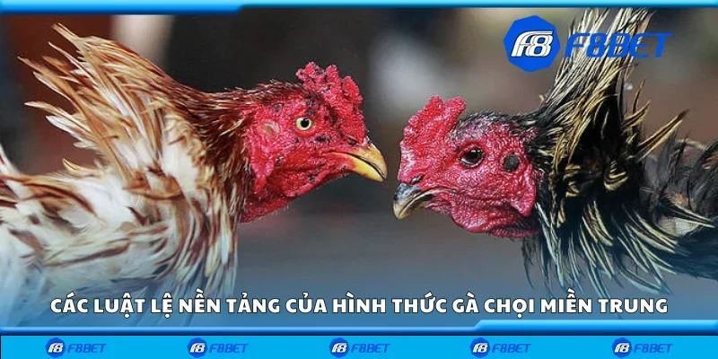 Các luật lệ nền tảng của hình thức gà chọi miền Trung