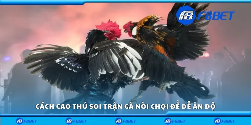 Cách cao thủ soi trận gà nòi chọi để dễ ăn độ