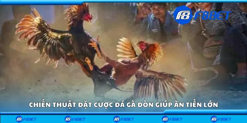 Chiến thuật đặt cược đá gà đòn giúp ăn tiền lớn