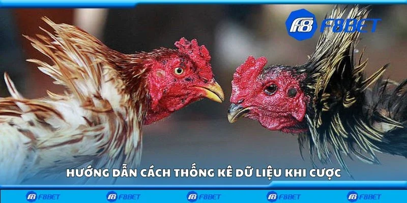 Hướng dẫn cách thống kê dữ liệu khi cược