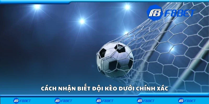 Hướng dẫn nhận biết đội kèo dưới chính xác