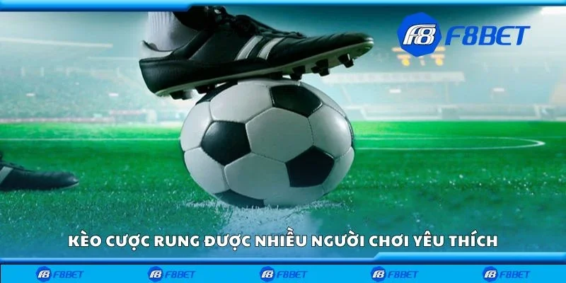 Kèo cược rung được nhiều người chơi yêu thích