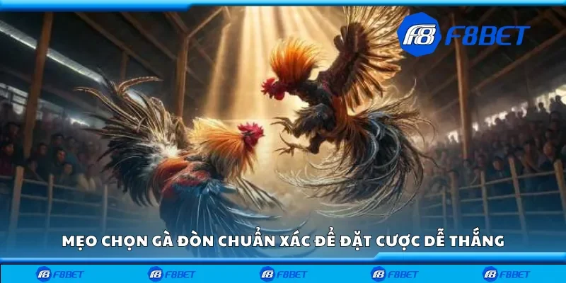 Mẹo chọn gà đòn chuẩn xác để đặt cược dễ thắng