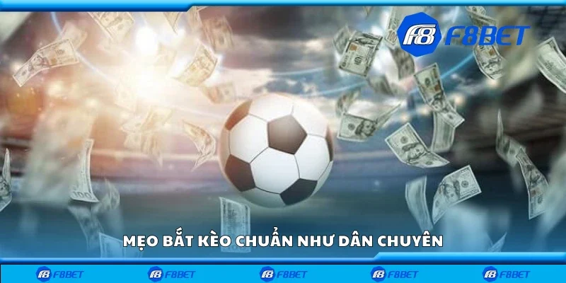 Một số mẹo bắt như dân chuyên