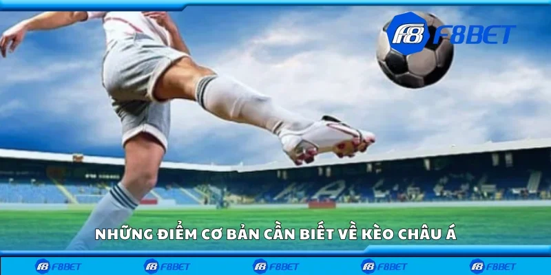 Những điểm cơ bản cần biết về kèo châu Á