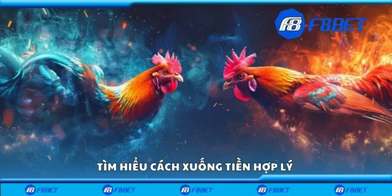 Tìm hiểu cách xuống tiền hợp lý