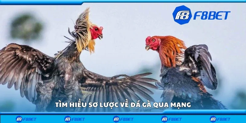 Tìm hiểu sơ lược về đá gà qua mạng