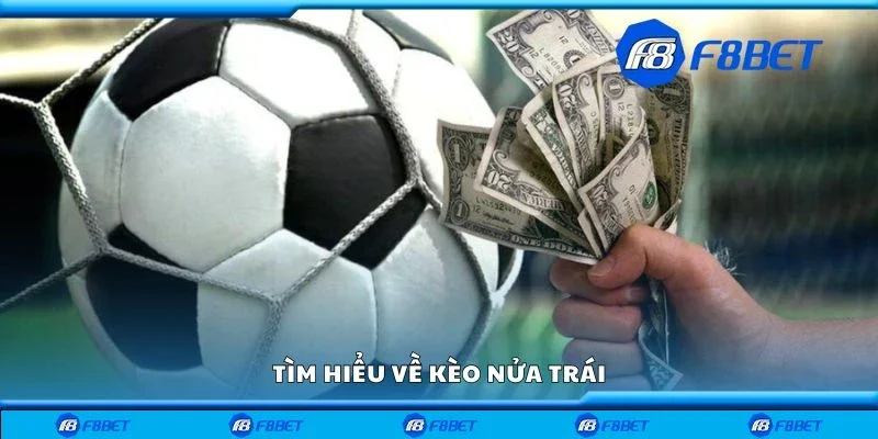 Tìm hiểu về kèo nửa trái