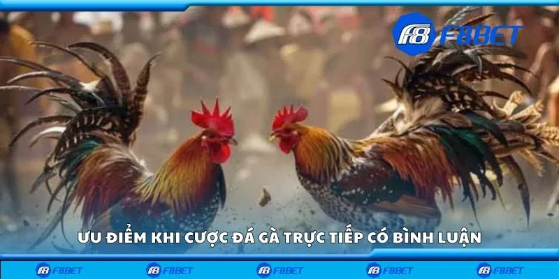 Ưu điểm khi cược đá gà trực tiếp có bình luận